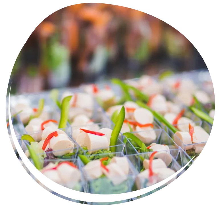 Catering institucional 3